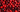 Close up on a pile of cherries in various shades of red