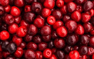 Close up on a pile of cherries in various shades of red