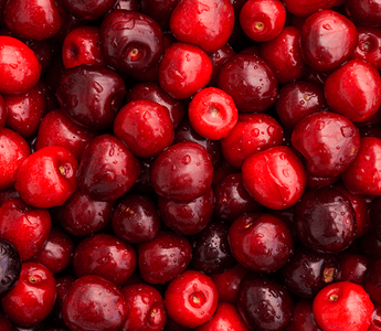 Close up on a pile of cherries in various shades of red